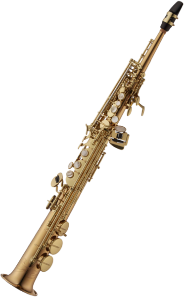 Yanagisawa S-WO2
